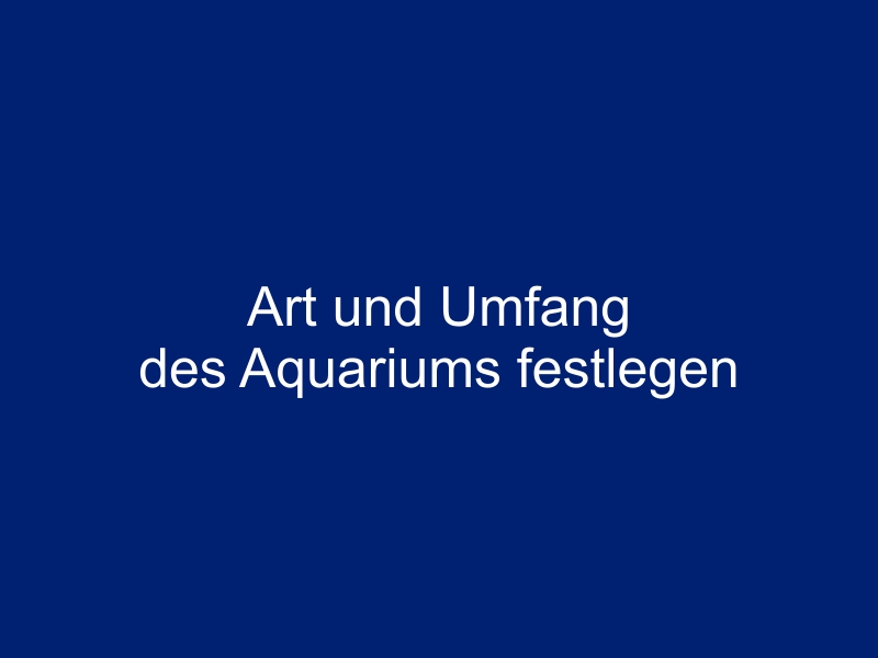 Art und Umfang des Aquariums festlegen – die wichtigste Entscheidung vor dem Start