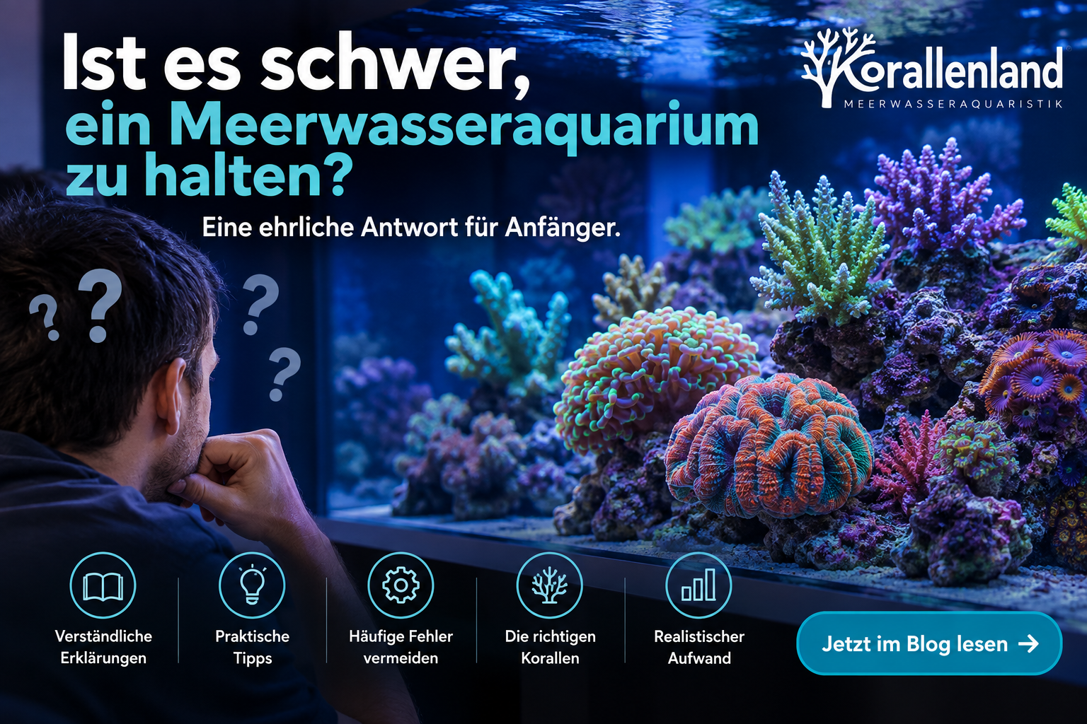Ist es schwer, ein Meerwasseraquarium zu halten? – Eine ehrliche Antwort für Anfänger